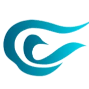 CHIVVA TECHNOLOGY