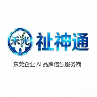 禾光网络